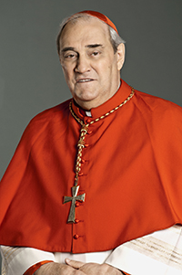 Cardinal Turcotte 2013
