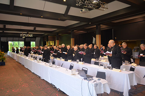 Bishops Plenary Assembly