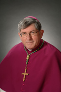 Collins_2012_Cardinal