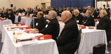 Plenary 2006